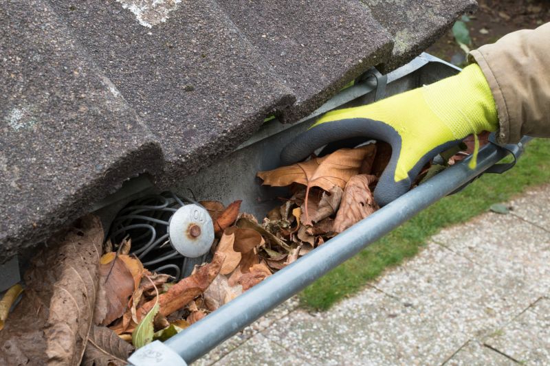 Spring Gutter Cleaning