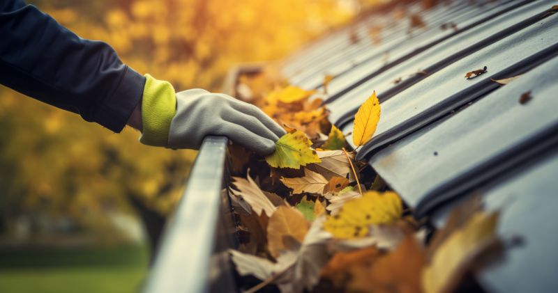 Fall Gutter Cleaning
