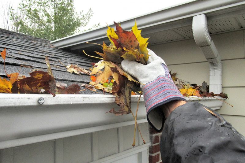 Roof Gutter Cleaning
